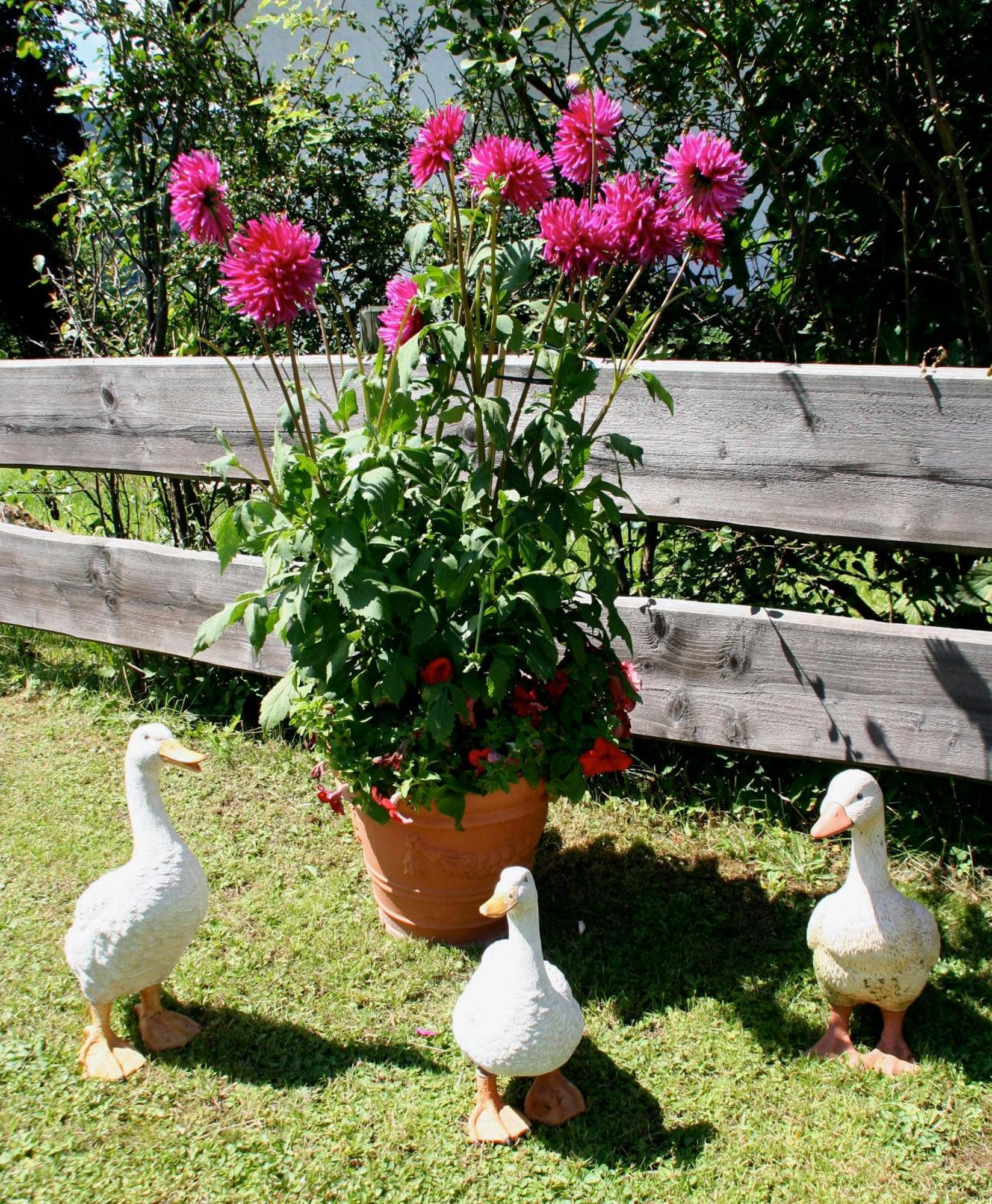 Ferienwohnungen Gerlach โอเบอร์สทดอร์ฟ ภายนอก รูปภาพ